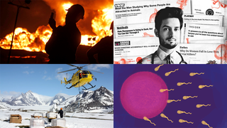Robocall Hell, Divination Bot Returns, and a Fake MD: Best Gizmodo Stories of the Week